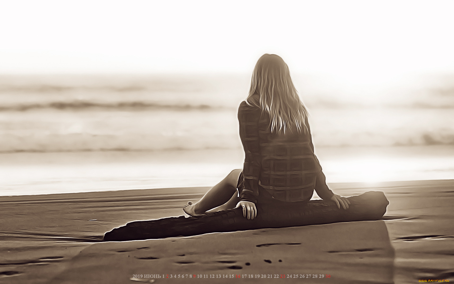 ,  , 2019, calendar, , , , , , 